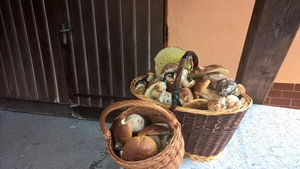 Penzion Jizerka Jablonec nad Nisou Esterno foto
